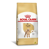 Ração Royal Canin Para Cães Adultos Raça Poodle 2 5kg