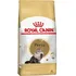 Ração Royal Canin Persian Gatos Adultos Da Raça Persa 7 5kg