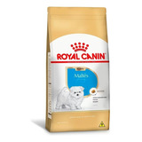 Ração Royal Canin Raca Maltes Puppy 2 5kg