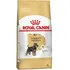 Ração Royal Canin Raca Schnauzer Adulto Miniatura  2,5kg
