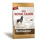 Ração Royal Canin Rottweiler Cães Adultos
