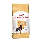 Ração Royal Canin Rottweiler