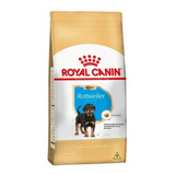 Ração Royal Canin Rottweiler Para Cães Filhotes 12 Kg Pett