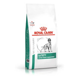 Racao Royal Canin Satiety