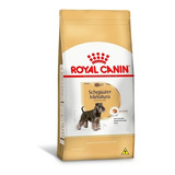 Ração Royal Canin Schnauzer Miniature Cães