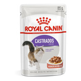 Ração Royal Canin Úmida Gatos Castrados