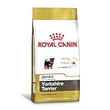 Ração Royal Canin Yorkshire Terrier Junior Para Cães Filhotes - 2,5kg