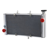 Radiador Agua Cbr1100xx Cbr