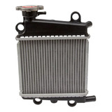 Radiador Agua Nmax 160
