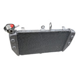 Radiador Agua Yamaha Mt 03 Mt03 2016 2022