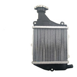 Radiador De Agua Original Dafra Cruisym 150