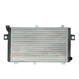 Radiador Ford Belina Corcel