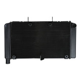 Radiador Honda Cb 600 Hornet 2008 09 10 11 12 13 2014 novo 