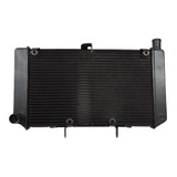 Radiador Honda Cb 600 Hornet 2008 09 10 11 12 13 2014 novo 