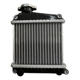 Radiador Honda Lead 110
