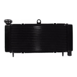 Radiador Hornet Cb 600f Cb600f 2004 2005 2006 2007 Honda