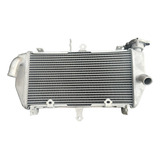 Radiador Mt03 Mt 03 Modelo Original 17 A 23