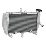 Radiador Para Yamaha Mt03