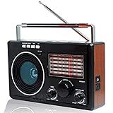 Rádio AM FM SW1 9 Com