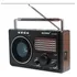 Radio Antigo Para Levar Zona Rural Pesca E Casa Usb Bluetoot