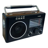 Rádio Caixa De Som Antigo Am