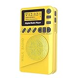 Rádio ERYUE Bolso DAB Rádio Digital