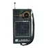 Rádio Portátil Rm psmp32 Dunga Vii Am fm 300mw Rms Motobras Cor Preto Bivolt