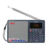 Radio Tecsun Icr 110