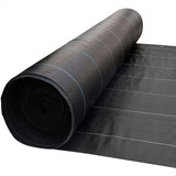 2x25m