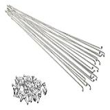 Raio Inox Bike Aro 29 Mtb 285mm X 2 5mm Grosso Kit 36 Raios