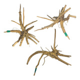 Raiz Natural Fina De 16 A 22cm Aquario Peixe Betta Lago Pet