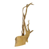 Raiz Natural P aquário terrário Skrw N 6 De 36 A 47 Cm
