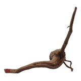 26cm