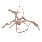 Raiz Natural Root 45x39x19cm