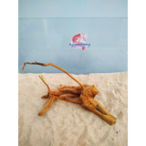 34x25x24cm