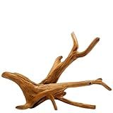 Raiz Natural Tronco Decoração De Aquarios Terrarios Lago Ornamental Madeira Enfeite Aquapaisagismo-Tamanho M -20 A 25cm--
