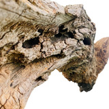 Hardscape