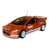 Rally Peugeot 307 Wrc