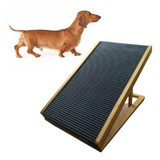 Rampa Cachorro Antiderrapante Dachshund Tekel Salsicha