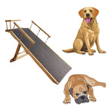 Rampa Reforçada Regulável Até 75 Cm Altura Pet De Até 50 Kg