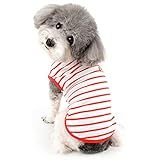 Ranphy Camiseta Listrada Para Cães Pequenos
