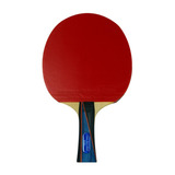 Raquete De Ping Pong Butterfly Timo