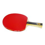 Raquete De Ping Pong Dhs 1002 Preta vermelha Fl  côncavo 