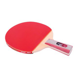 Raquete De Ping Pong Dhs 1006