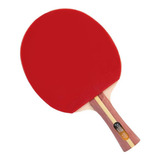 Raquete De Tênis De Mesa Dhs Clássica H2002 Ittf Approved