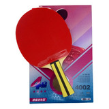 Raquete Dhs Clássica Ma Long Tenis De Mesa Modelo Novo