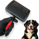 Rasqueadeira Profissional Curva Grande Pente Pet Cães Gatos