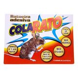 Rato