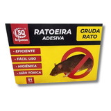 Ratoeira Adesiva P Rato Ratazana Pega Cola Gruda C 3 Peças