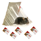 Armadilha